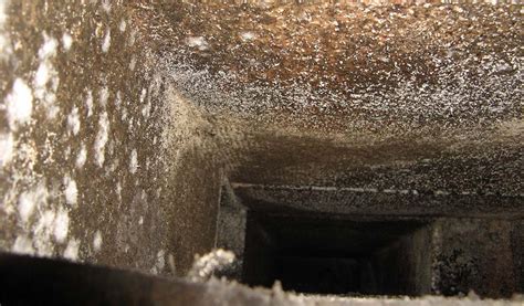 mold in hvac system